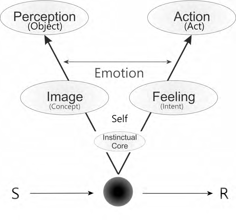 Figure 1: Acts and objects develop in parallel out of an instinctual core, traversing substrates of imagery and emotion. The percept-development transports drive-categories through concepts to objects. The act- development transports drive-impulse through feeling to acts. Concepts give the quality of emotion. Feeling gives the intensity.