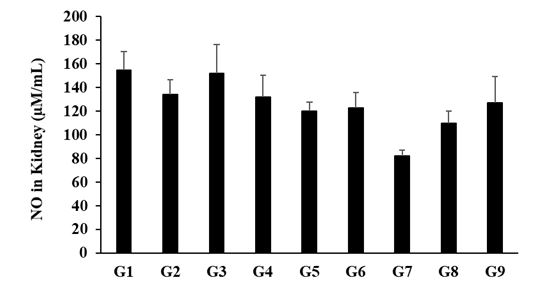 Figure 6: In the kidney tissue homogenate, the level of NO in disease control group (G2) was 134.37 ± 12.36 µM/mL, which was decreased by 13.21% as compared with the normal control (G1, 154.81 ± 15.38 µM/mL) group. An increased the level of NO was observed by 13% i.e., 151.84 ± 24.29 µM/mL in positive control (captopril + atorvastatin) group (G3) than G2 group. The level of NO in the kidney tissue homogenate was altered in all the treatment groups as compared to both the disease control and untreated test formulation group (Figure 6).