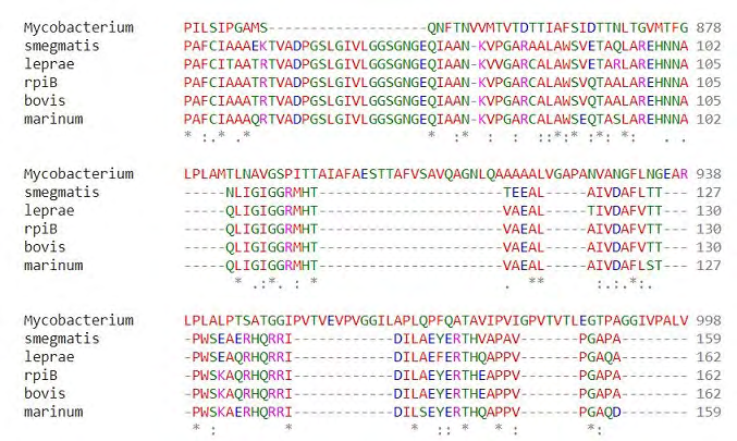 Figure 2: Protein-Protein interaction of Rv1651c using STRING and STITCH: The protein-protein interaction with (2a) STRING shows the maximum interaction with PPE35 with a score of 0.921 (2b) STITCH shows the maximum interaction of score of 0.564 in the case of argR.