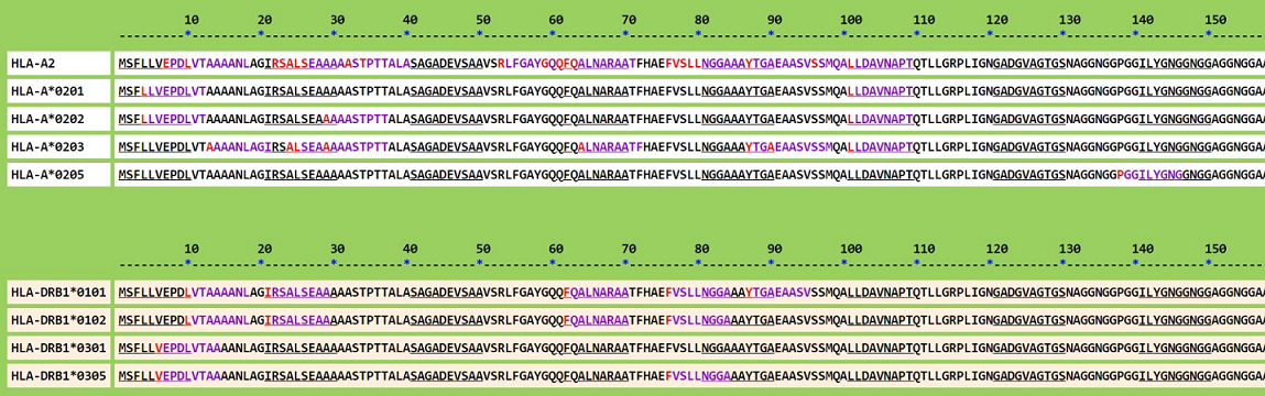 Figure 4: Protein model of Rv1651c: The protein model of Rv1651c generated using Phyre2 server.