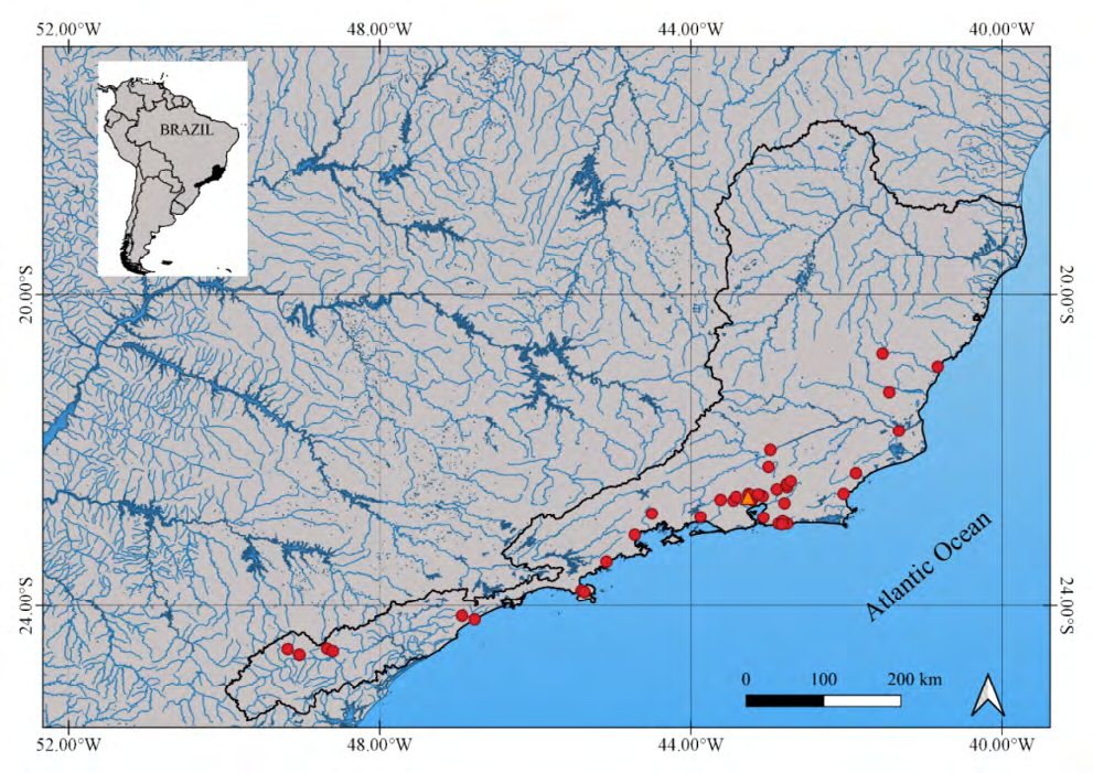 Figure 8: Geographic distribution of _Astyanax viridis_ sp. n, Salgado, 2021. (Orange triangle – type locality; red circles – otherlocalities) in southeastern Brazilian river basin (blackline).