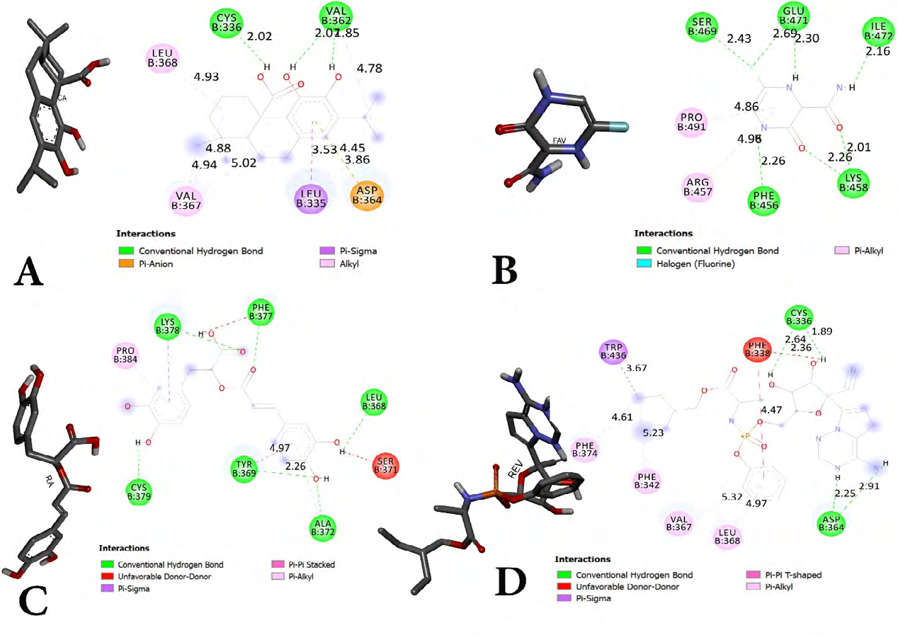 Figure 3: Interactions between SM and ligands (A: CA, B: FAV, C: RA and D: REV).