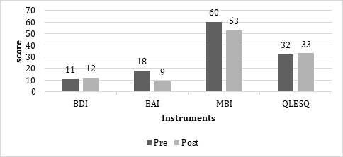 Figure 2: Instrument scores Case 2.