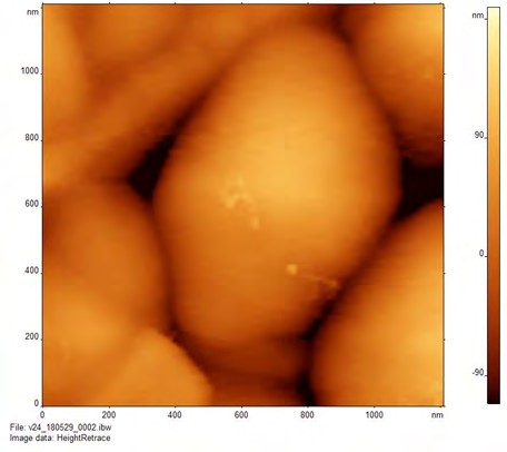 Figure 5: Modulus of Elasticity differences found at different time points and different media. (a) Modulus of Elasticity of _S. bovis_ ATCC 70040 incubated with Virginiamycin in air at 0 hour, 1 hour and 24 hours; (b) Modulus of Elasticity of _S. bovis_ ATCC 70040 incubated with Virginiamycin in PBS at 0 hour, 1 hour and 24 hours; (c) Modulus of Elasticity of _S. bovis_ ATCC 70040 incubated with Tylosin phosphate in air at 0 hour, 1 hour and 24 hours; (d) Modulus of Elasticity of _S. bovis_ ATCC 70040 incubated with tylosin phosphate in PBS at 0 hour, 1 hour and 24 hours.