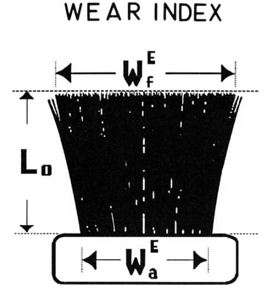 Figure 3: Method used to determine wear index (WI) from a silhouette [5].