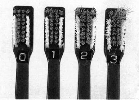 Figure 4: The observers independently recorded the scores for each of the toothbrushes in a chart.