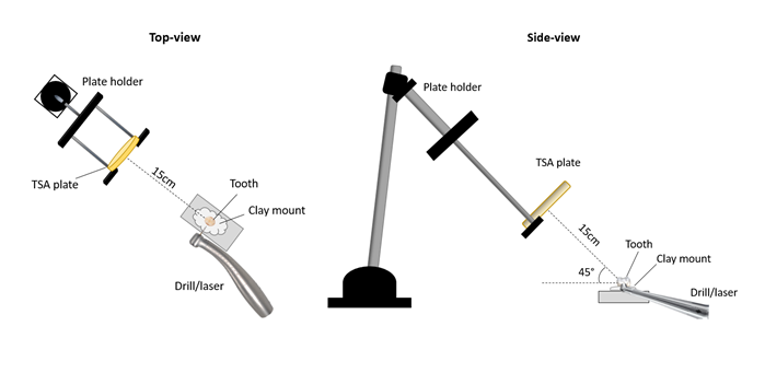 Figure 1: Schematic diagrams of the experimental setup in a controlled laboratory environment shown in (A) top-down view and (B) side-view. The TSA plates were positioned 15 cm away from the treatment location and at 45° angle.