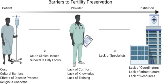 Figure 1: Courtesy ref no-33-Barriers to fertility preservation. Numerous patient, provider, and institutional barriers can impede the delivery of effective fertility preservation care.