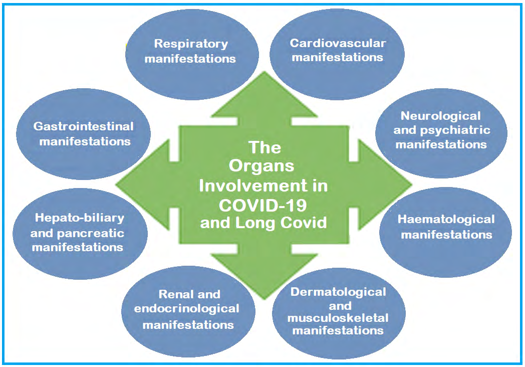 Figure 1: The respiratory, cardiovascular, gastrointestinal and hepato-biliary, neurological and psychiatric, renal and endocrinological, haematological, musculoskeletal, and dermatological manifestations in COVID-19 and Long Covid.
