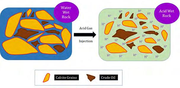 Figure 1: Calcite Grain Size Reduction, a Result of Acid Gas Injection.
