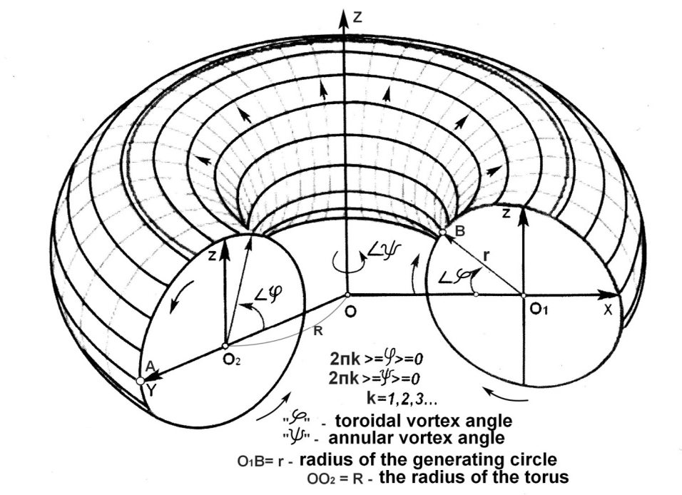 Figure 2: Scheme of a vortex torus in vertical sections.