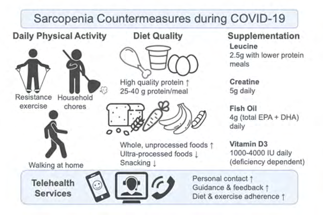 Figure 7: A summary of physical activity, nutritional, and supplement countermeasures that may be useful in avoiding muscle loss in both younger and older persons. The inclusion of telehealth services offering regular contact, guidance, and support to such counter-measures may result in greater adherence and positive outcomes [42].
