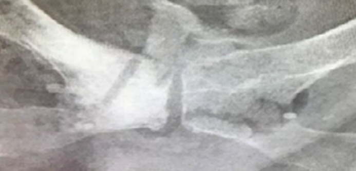 Figure 8