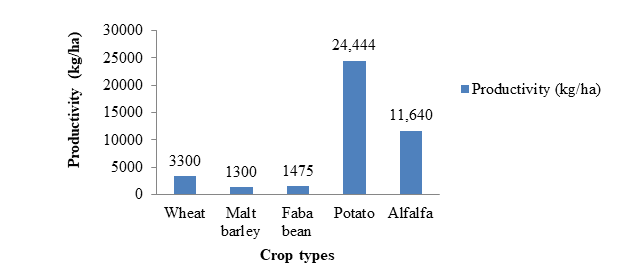 Figure 2: Productivity of rotational crops in organic model farm at field number 70 in 2017 main cropping season at Kulumsa.