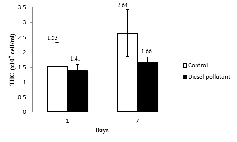 Figure 1: Total haemocyte count (THC) of mud crab at days 1 and 7 (after treatment of diesel pollutant). Statistical analysis showed no difference between the two groups.
