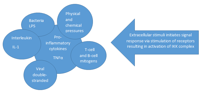 Figure 1: Extracellular stimuli involved in activation of I Kappa B Kinase complex in NF-KB pathways.