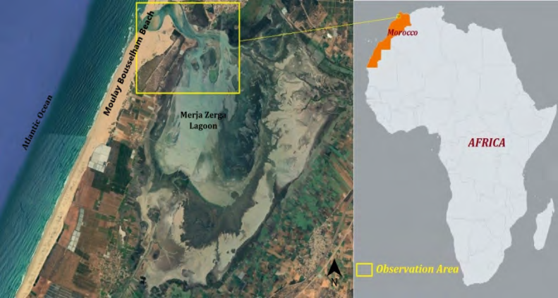 Figure 1: The observation area of the Blue Crab in the Merja Zerga lagoon in the North Atlantic coast of Morocco.