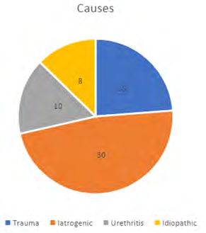 Figure 1: Patients were randomized to receive umbilical vein graft (n=33) or buccal mucosal graft (n=30).