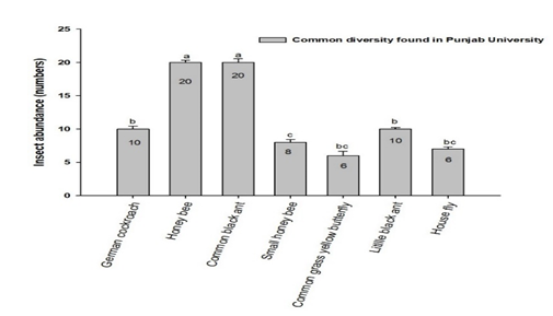 Figure 12: Effect of wind speed (m/sec) on insect abundance at the study site of Safari Park.