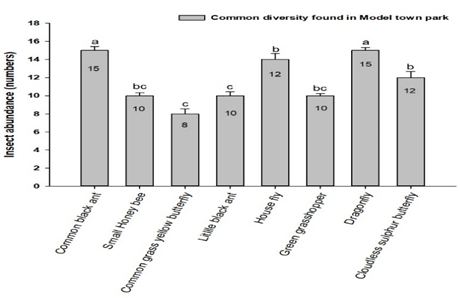 Figure 15: Most common diversity index found in the study location of Model town Park.