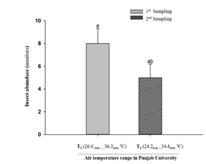 Figure 2: Effect of air temperature gradients on insect abundance at the study site of Model Town Park.
