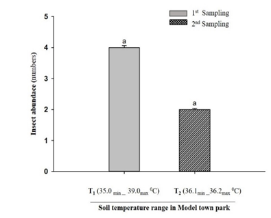 Figure 4: Effect of soil temperature gradients on insect abundance at the study site of Model town Park.