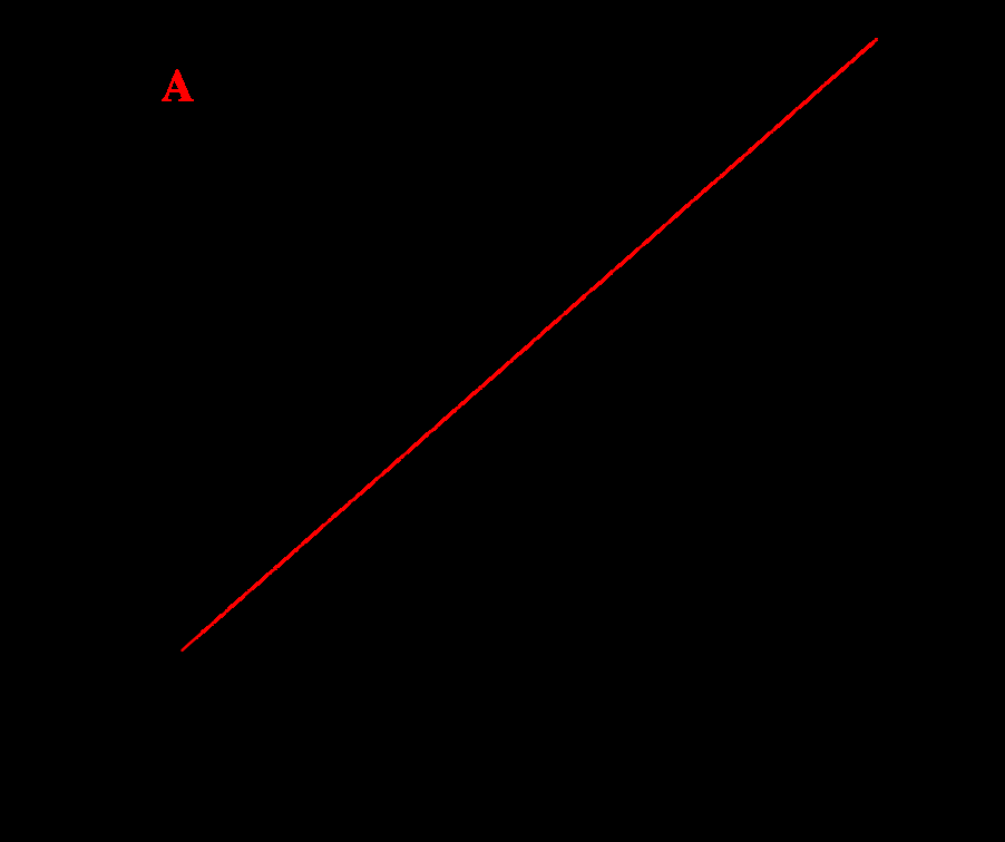 Figure 3: The corresponding calibration curve of the MnO2/GNRs/GCE in the HPO concentration range of 0.25–2455 M. limit of 0.071 M (S/N = 3) could be obtained. The proposed sensor displayed excellent electrochemical analytical performance, acceptable reproducibility, high accuracy, and great anti-interference ability [74].