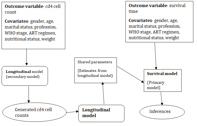 Figure 1: The joint modelling process.