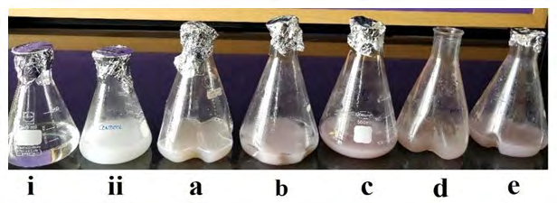 Figure 3: Flask a, b, c, d, e represents AgNPs synthesis at pH 3,5,7,9 and 11 respectively (experimental flasks—color changes observed); Flask ‘i’ (controls—silver nitrate + D. water); Flask ‘ii’ (control-milk + D. water).
