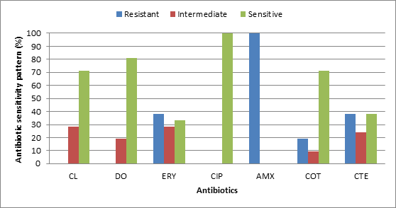 Figure 6: Overall antibiotic sensitivity of bacterial isolates of Pabda fish.