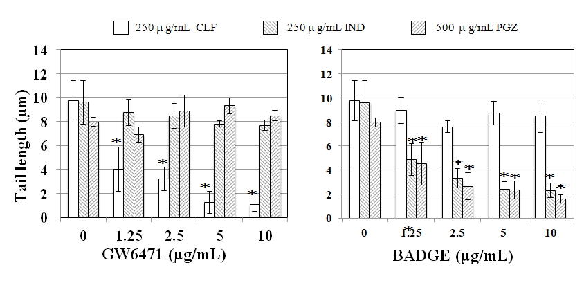 Figure 2: Effect of PPAR antagonists on DNA migration by CLF, IND, and PGZ in the cellular comet assay. Tail length was obtained immediately after the exposure to 250 µg/mL CLF, 250 µg/mL IND, or 500 µg/mL PGZ for 4 h with a PPAR antagonist without araC/HU. Mean of three trials are shown. The error bars indicate standard deviation of the mean of three independent trials. *Significantly lower than without PPAR antagonist: p<0.05.