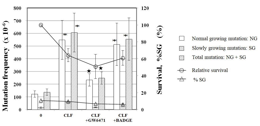 Figure 7: Effects of PPAR antagonists on CLF-, IND-, and PGZ -induced intracellular ROS. Fluorescent cells were scored immediately after 30 min exposure to CLF, IND, or PGZ with and without 4 µg/mL PPAR antagonist GW6471 or BADGE after 1h incubation with 50 µM BES-H2O2-Ac. Mean of three trials are shown. The error bars indicate standard deviation of the mean of three independent trials. *Significantly higher than untreated cells: p<0.05. ★ Significantly lower than without PPAR antagonist: p < 0.05.