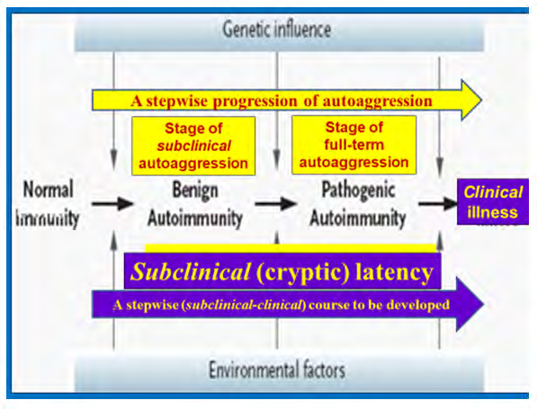 Figure 2: Chronic autoimmune inflammation course as a typical multi-step pathological process.