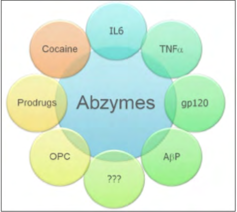 Figure 5: Perspectives of artificial (engineered) biocatalysts _in vitro_.