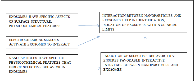 Figure 6: Development Of Interactive Interface Between Exosomes and Nanoparticles.