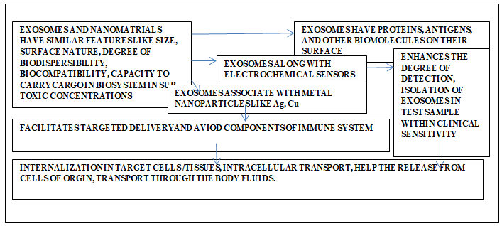 Figure 7: Schematic Representation Of Correlative Interaction Between Exosomes And Nanomaterials and The Functional Impacts.