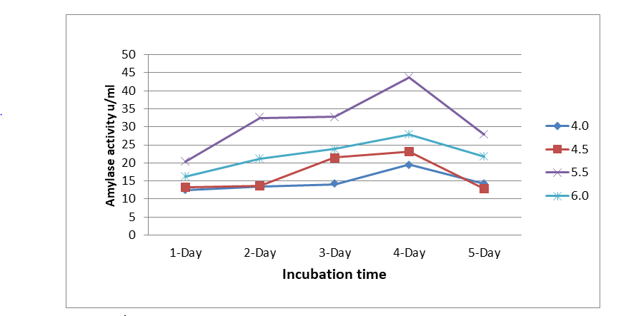 Figure 1: Effect of pH in the production of amylase using Penicillium chrysogenum.