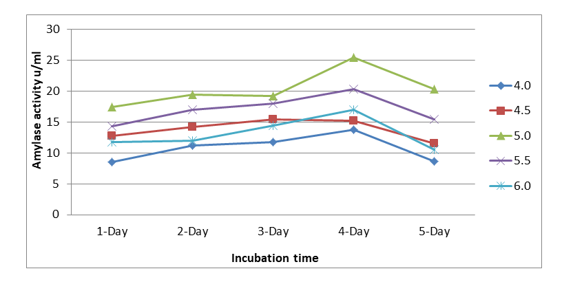 Figure 2: Effect of pH in the production of amylase using Rhizopus oryzae.