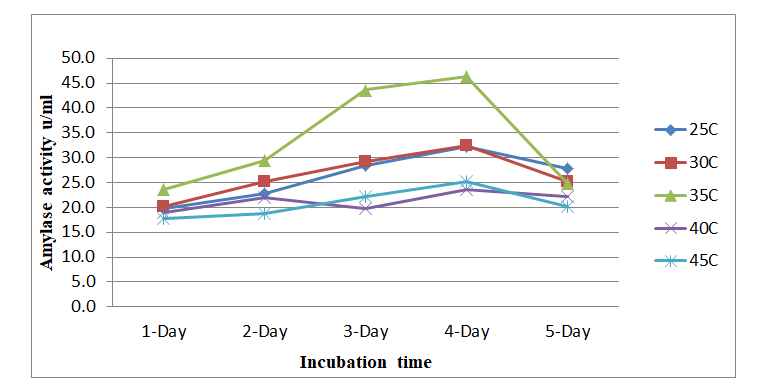 Figure 3: Effect of temperature in the production of amylase using Penicillium chrysogenum.