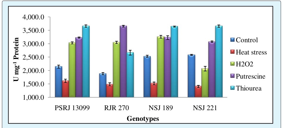 Figure 3: Effect of foliar application of H2O2, Putrescine and Thiourea foliar application on H2O2 accumulation in maize seedlings under high temperature stress.