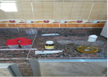 Figure 2: Collected samples in sterile bottles.