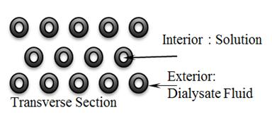 Figure 1: Upper: Vertical section of a dialyzer. The inlet and outlet ports of the dialysate flow path are located at the left and right ends, respectively, and those of the blood compartment are located at the right and left ends, respectively.