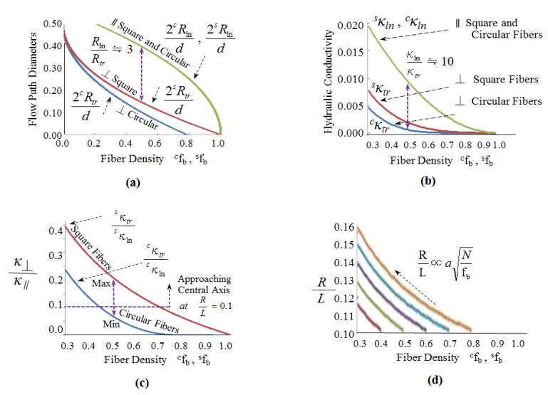 Figure 8: (a) Change in the longitudinal 2Rln/d and transverse 2Rlr/d flow path diameters as a function of the fiber density in circular and square fiber bundles. The transverse-to-longitudinal flow path diameter ratio Rtr/Rln is about 0.3 around the practical fiber density fb ≒ 0.5 in both the circular and square fiber bundles.