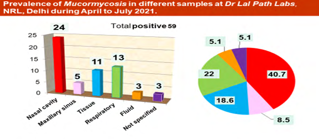 Figure 1: Prevalence of Mucormycosis in different clinical samples. Out of the 59 isolates, 20.3% of isolates of them belonging to the age group of 31-40 years and Rest were 79.7% of 41-99 years. In our study the most predominant age group infected with Mucormycosis were elderly adults >=61 (42.4%) (Figure 2).