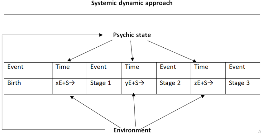 Figure 1: The systemic-dynamic approach takes into account the influences of the environment on the psyche, and of the latter on the phenotype, as well as the direct influences that the environment exerts on it. (E = environment; S = mental state [own elaboration]).