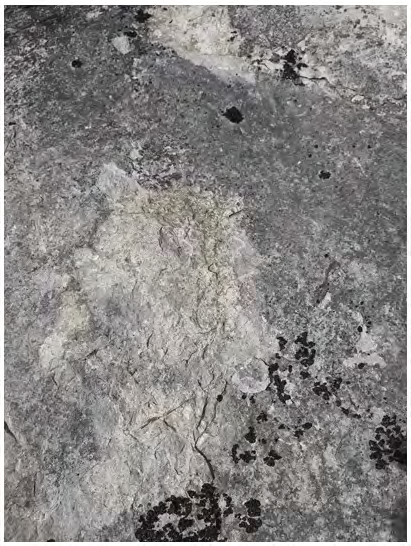 Figure 2: The main « wolf ».