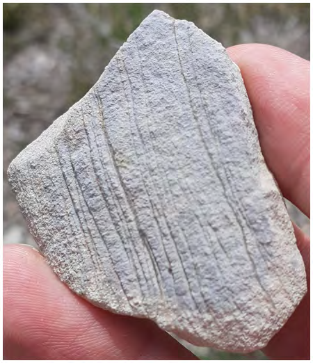 Figure 3: A teeth. Extremely light (perhaps 10 grams).