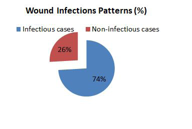 Figure 1: Frequency of infection and non-infection.