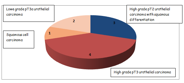 Figure 3: Distribution of patients according to histological type post-cystectomy.