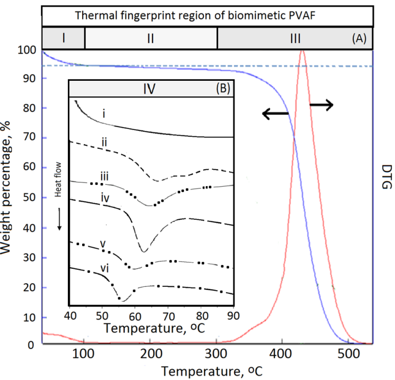Figure 8: Thermal fingerprint evaluations of new biomimetic design of soft medical drainage materials.(A)region I, region II, and region III and (B) region IV containing biomimetic PVAF i, rice starch ii, cassava starch iii, potato starch iv, pea starch v, and wheat starch vi.